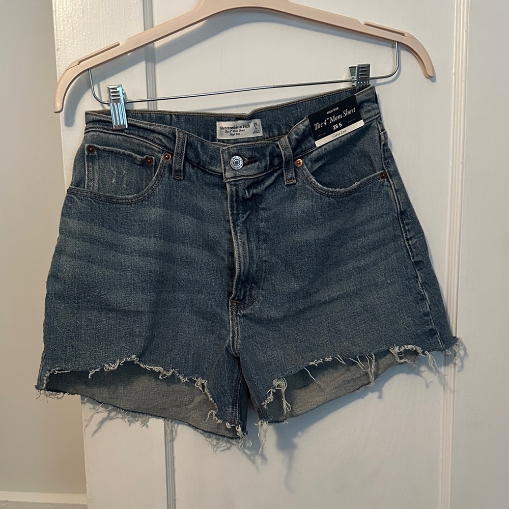 Abercrombie & Fitch 4in Mom Shorts - Curve Love